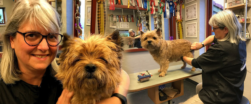 Odense Hundesalon