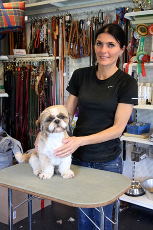 Odense Hundesalon