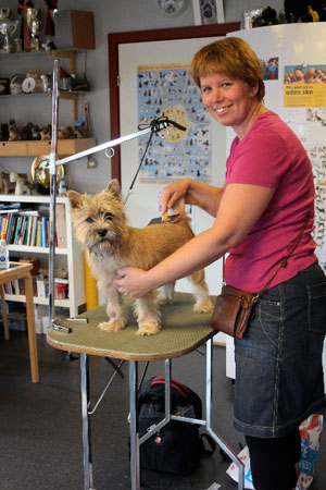 Odense Hundesalon