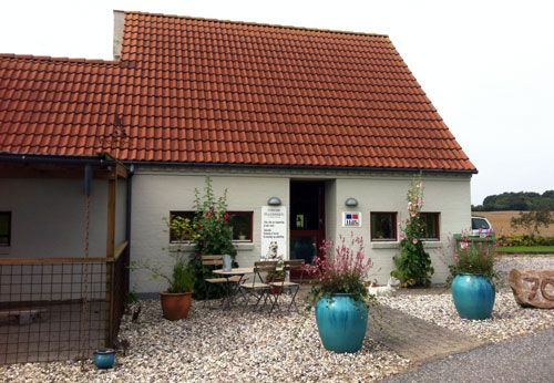 Image Odense Hundesalon